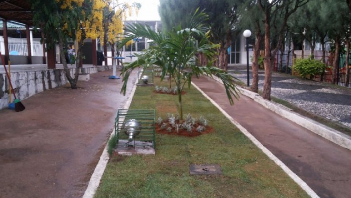 Jardins do canteiro central recebe melhorias